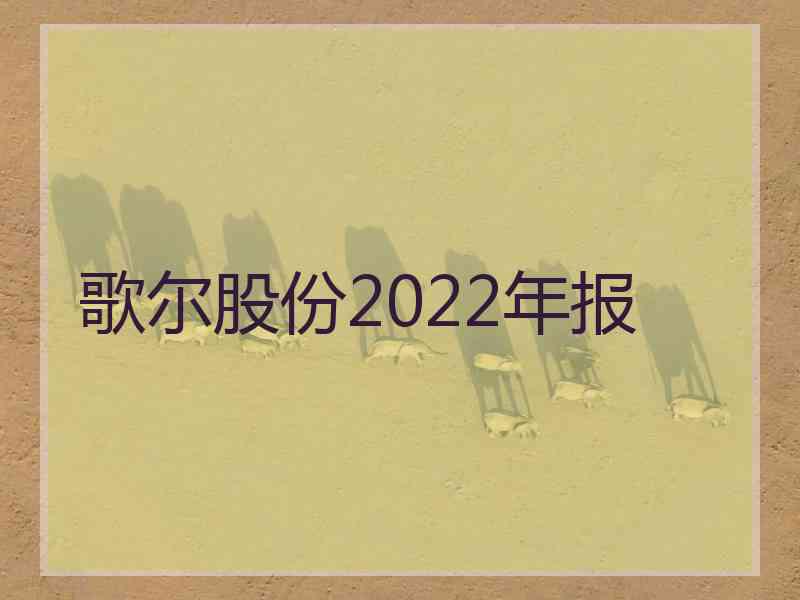 歌尔股份2022年报 歌尔股份2022年报