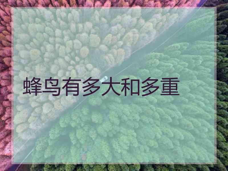 蜂鸟有多大和多重 蜂鸟有多大和多重