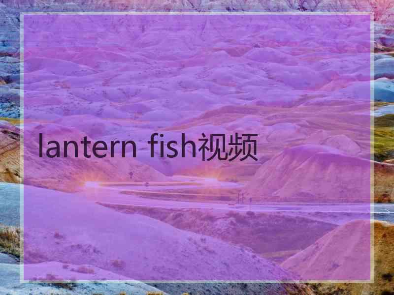 lantern fish视频 lantern fish视频