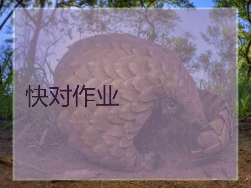 快对作业 快对作业