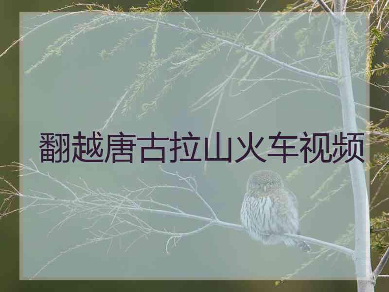 翻越唐古拉山火车视频 翻越唐古拉山火车视频