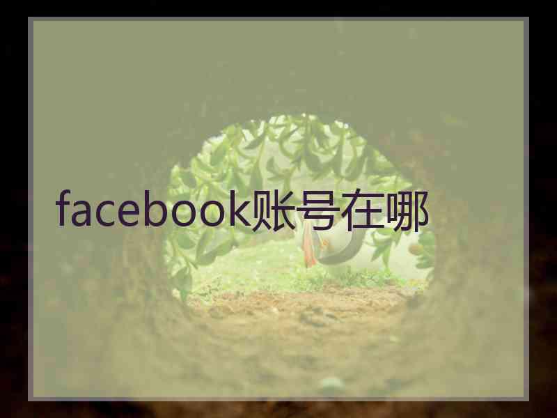 facebook账号在哪 facebook账号在哪