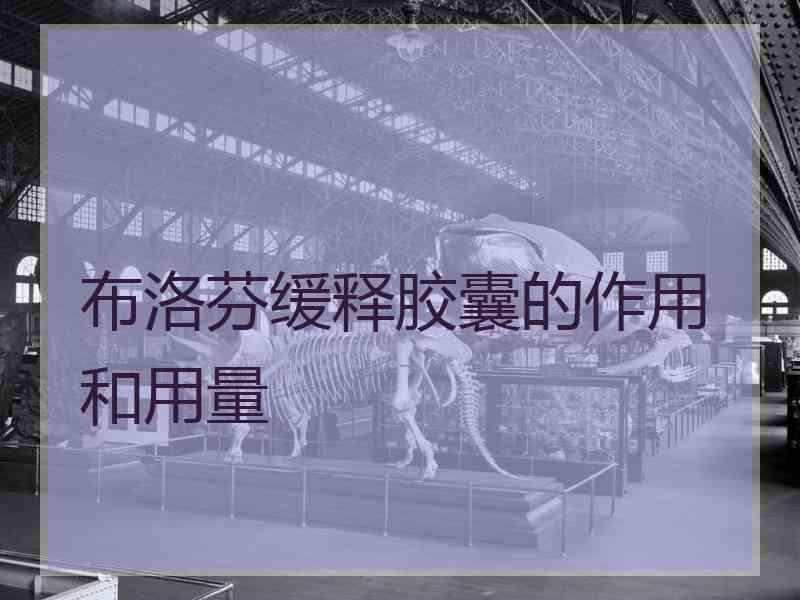 布洛芬缓释胶囊的作用和用量 布洛芬缓释胶囊的作用和用量