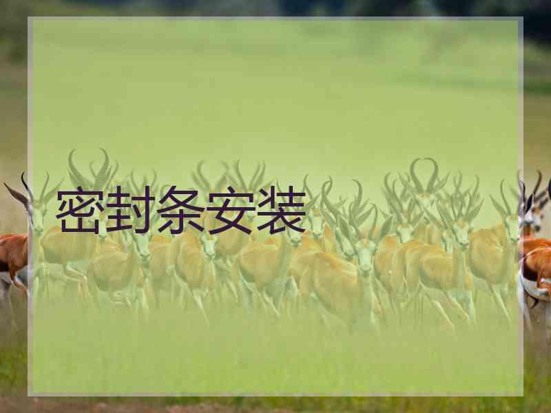 密封条安装 密封条安装