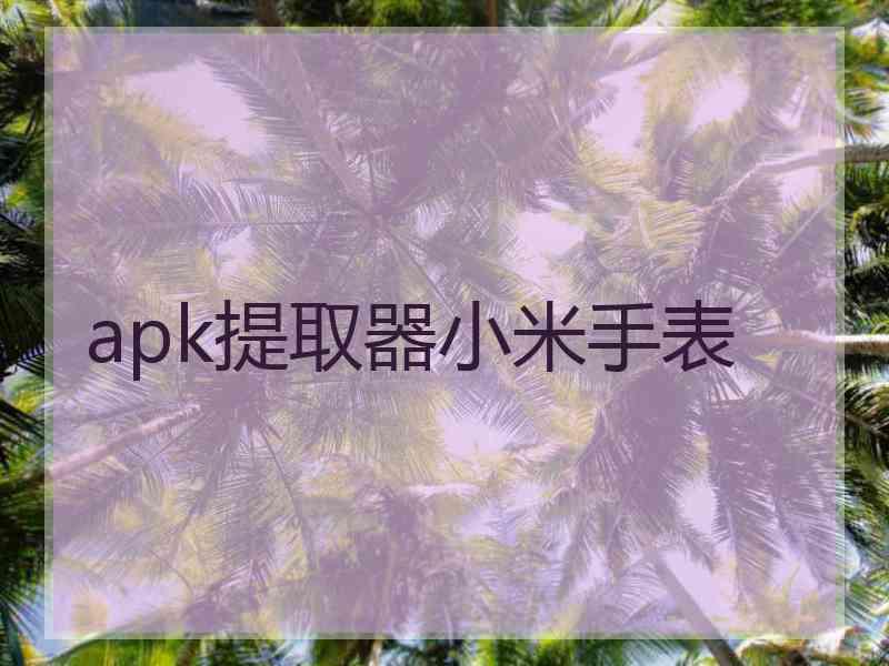 apk提取器小米手表 apk提取器小米手表