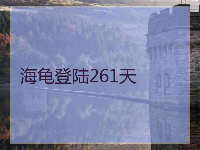 海龟登陆261天 海龟登陆261天