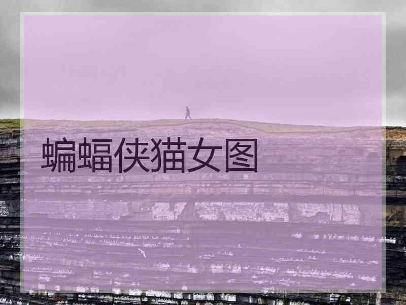 蝙蝠侠猫女图 蝙蝠侠猫女图