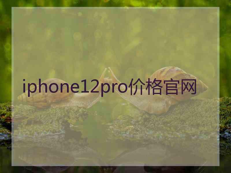 iphone12pro价格官网 iphone12pro价格官网