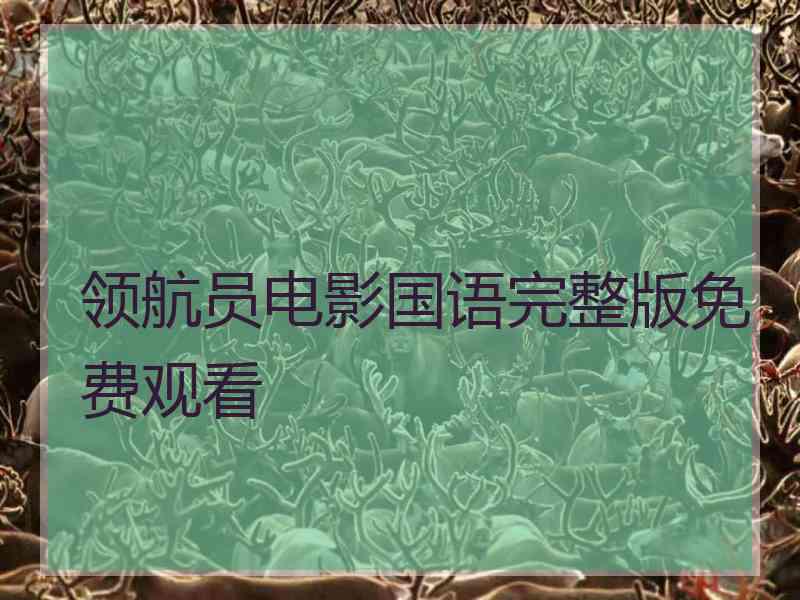 领航员电影国语完整版免费观看