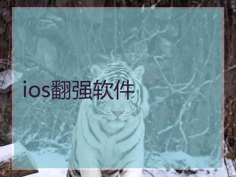 ios翻强软件