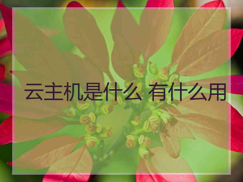 云主机是什么 有什么用