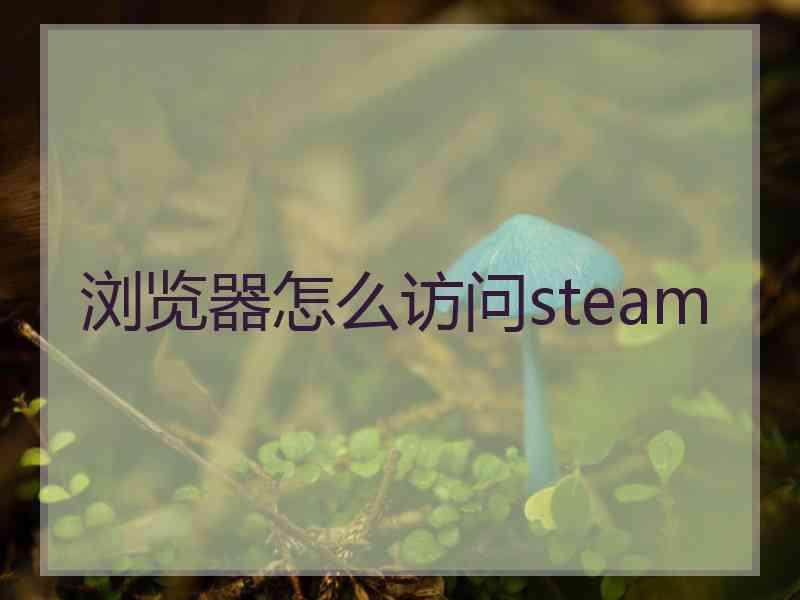 浏览器怎么访问steam