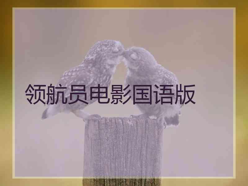 领航员电影国语版