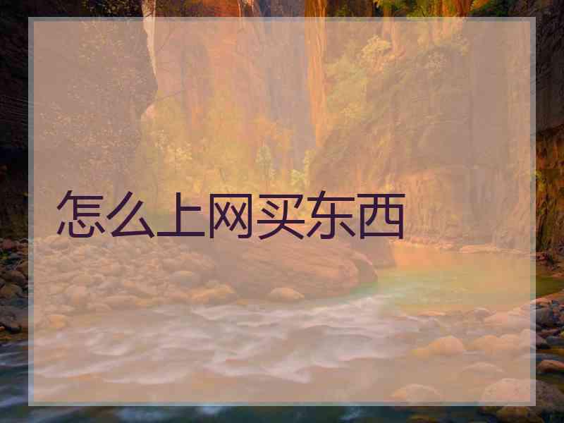 怎么上网买东西