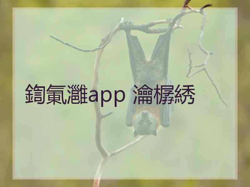 鍧氭灉app 瀹樼綉