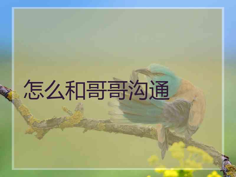 怎么和哥哥沟通
