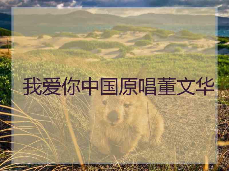 我爱你中国原唱董文华