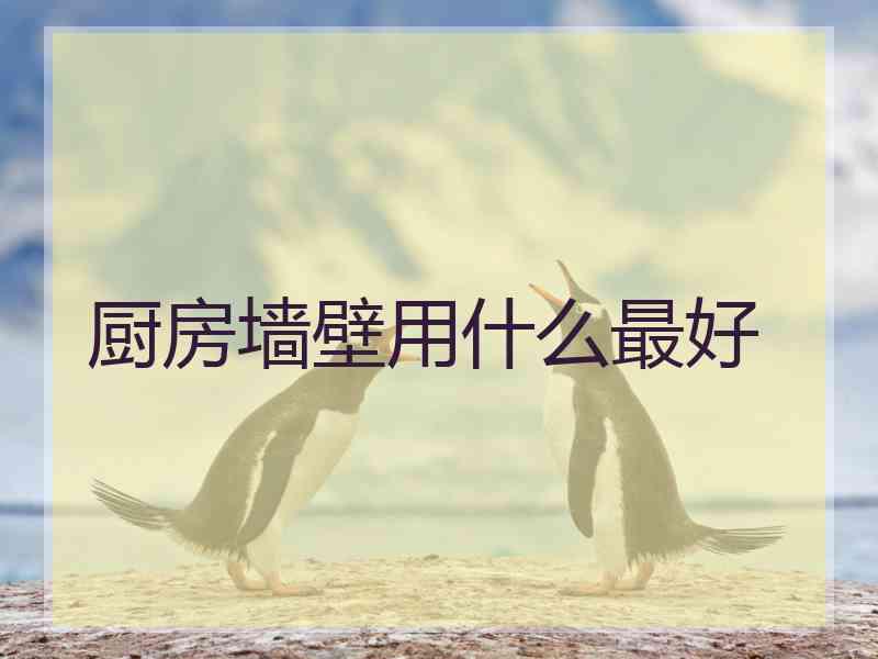 厨房墙壁用什么最好