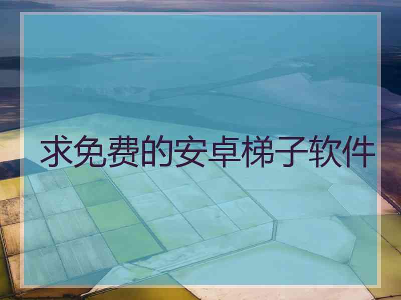 求免费的安卓梯子软件
