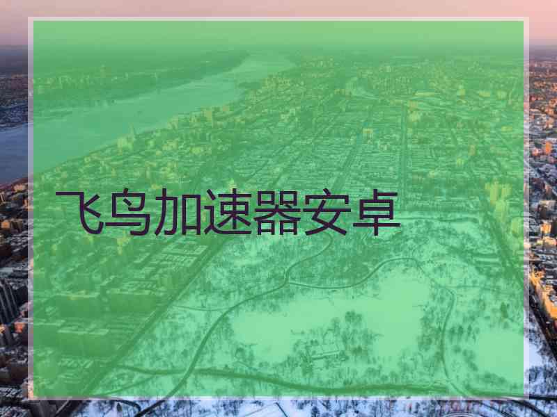 飞鸟加速器安卓