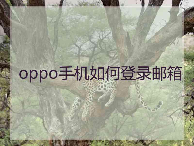 oppo手机如何登录邮箱