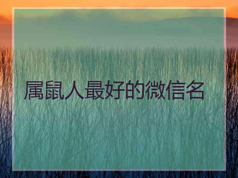 属鼠人最好的微信名