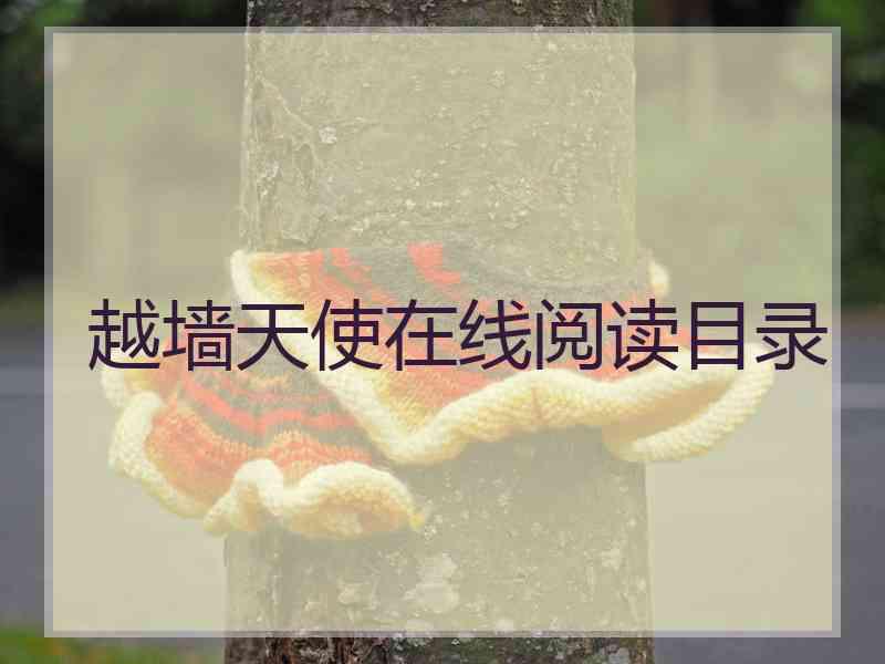 越墙天使在线阅读目录