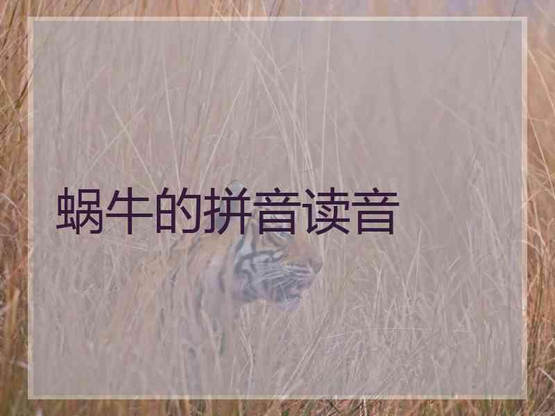 蜗牛的拼音读音