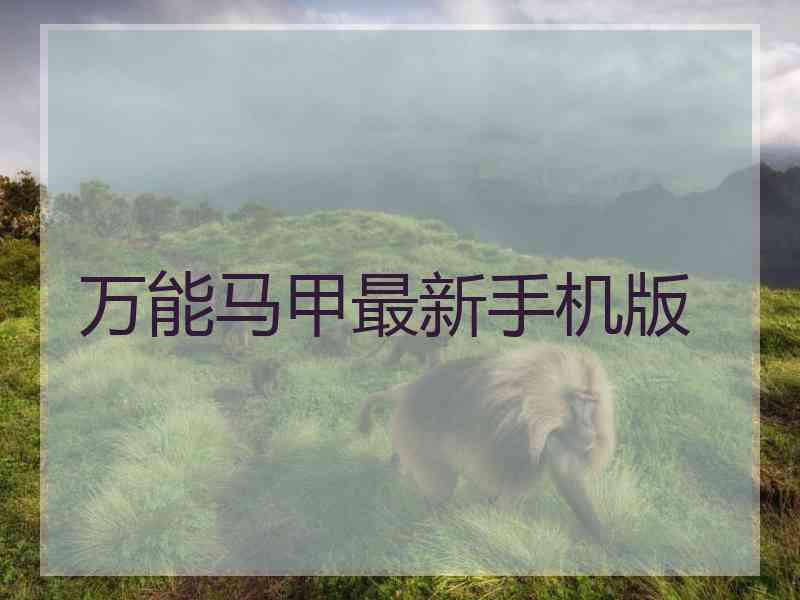 万能马甲最新手机版