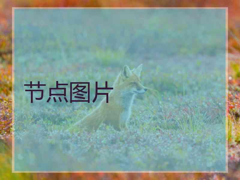 节点图片