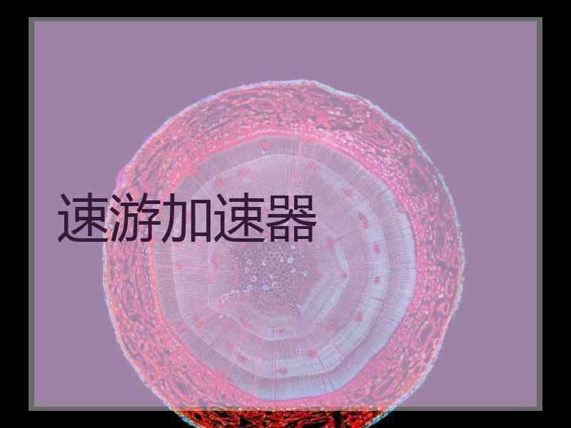 速游加速器