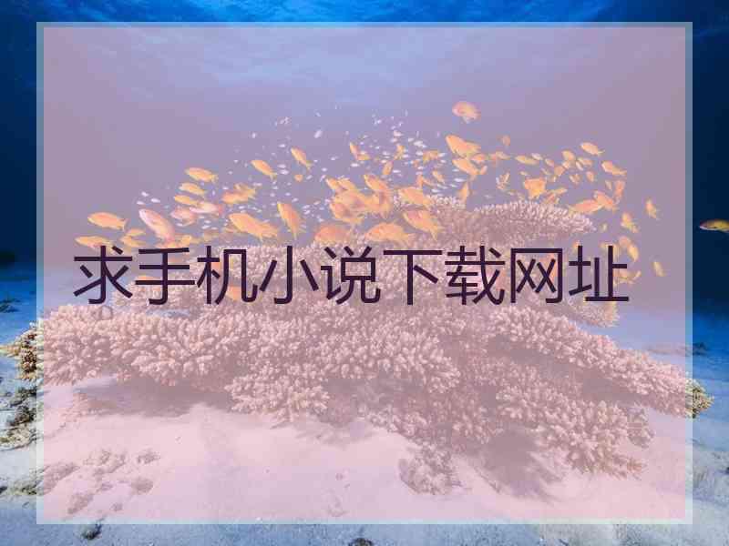 求手机小说下载网址