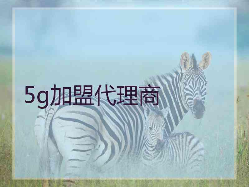 5g加盟代理商