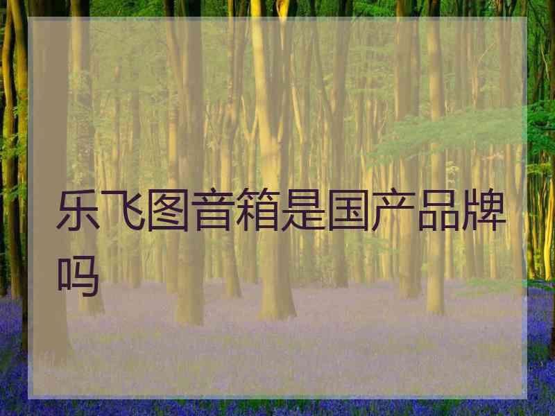 乐飞图音箱是国产品牌吗