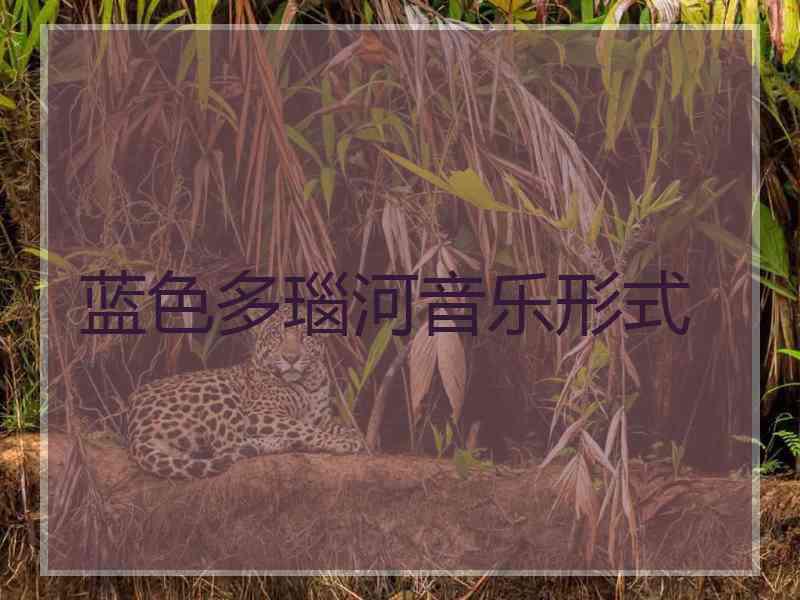 蓝色多瑙河音乐形式