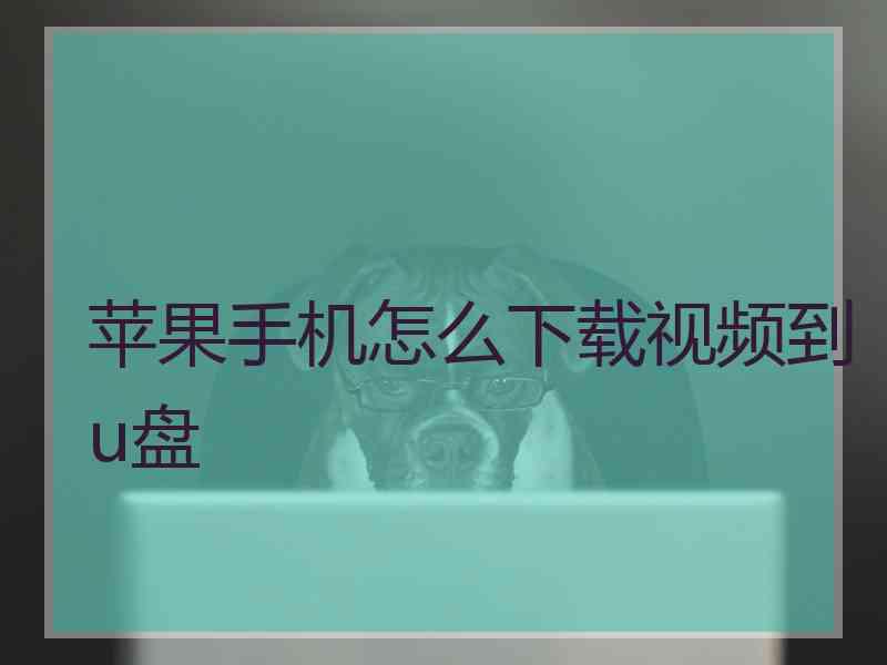 苹果手机怎么下载视频到u盘