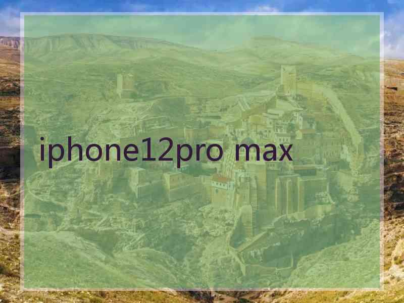 iphone12pro max