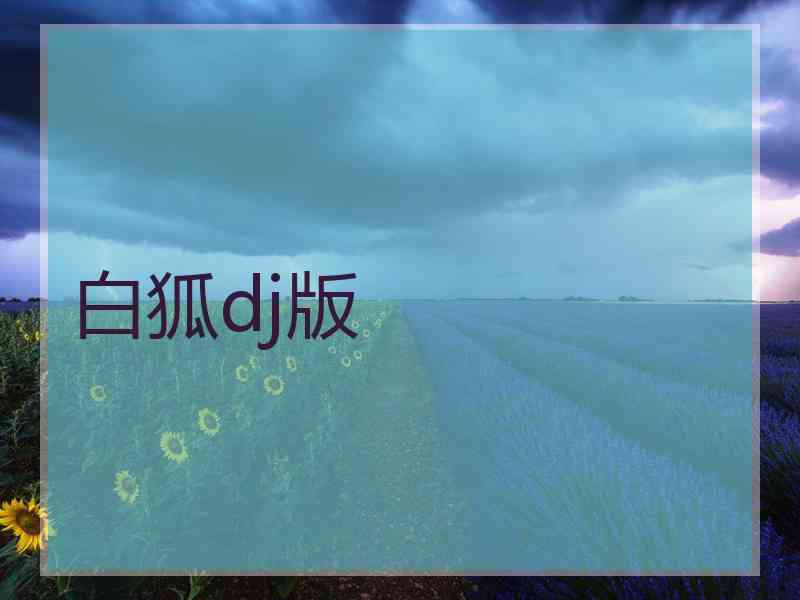 白狐dj版