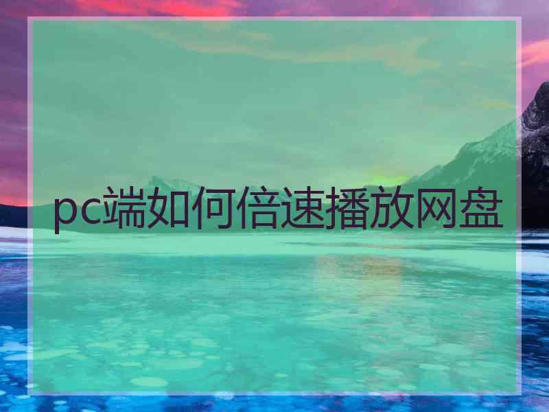 pc端如何倍速播放网盘