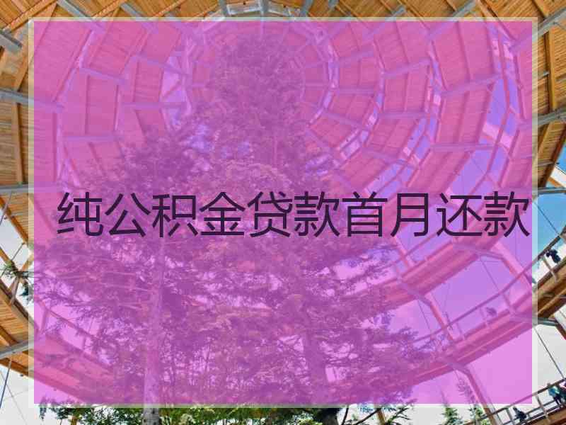 纯公积金贷款首月还款