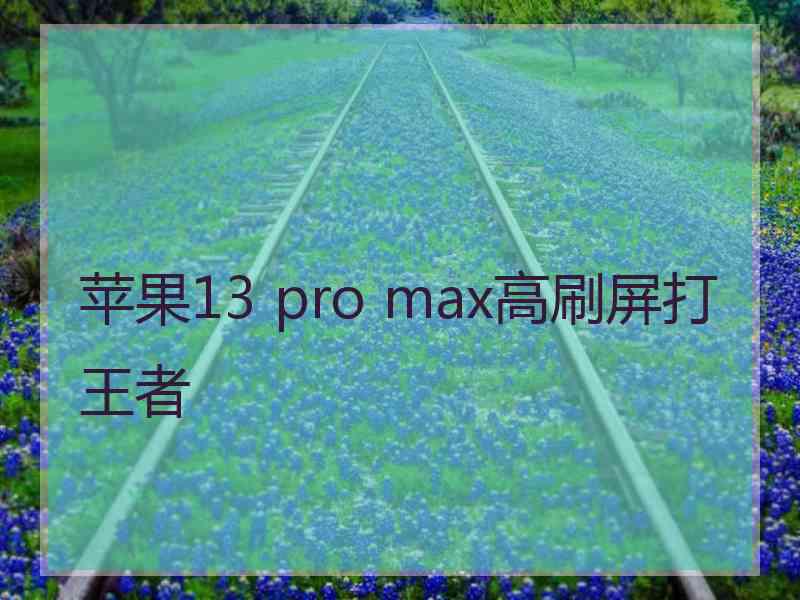 苹果13 pro max高刷屏打王者