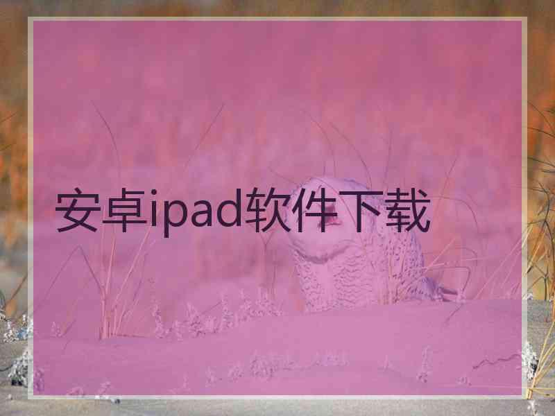 安卓ipad软件下载