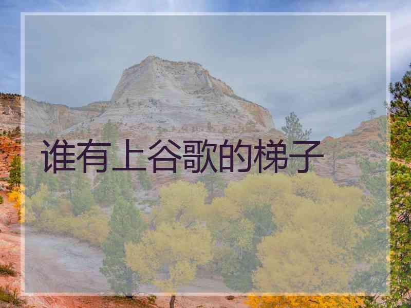 谁有上谷歌的梯子
