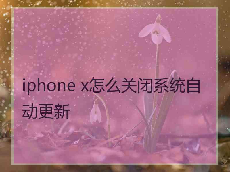 iphone x怎么关闭系统自动更新