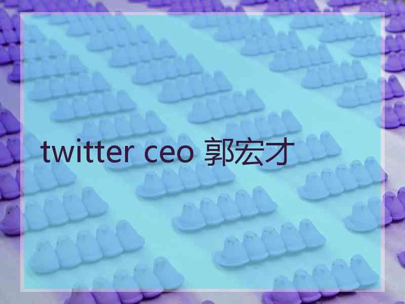 twitter ceo 郭宏才