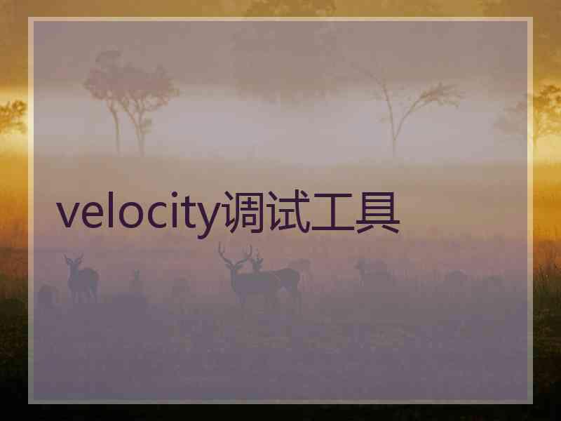 velocity调试工具