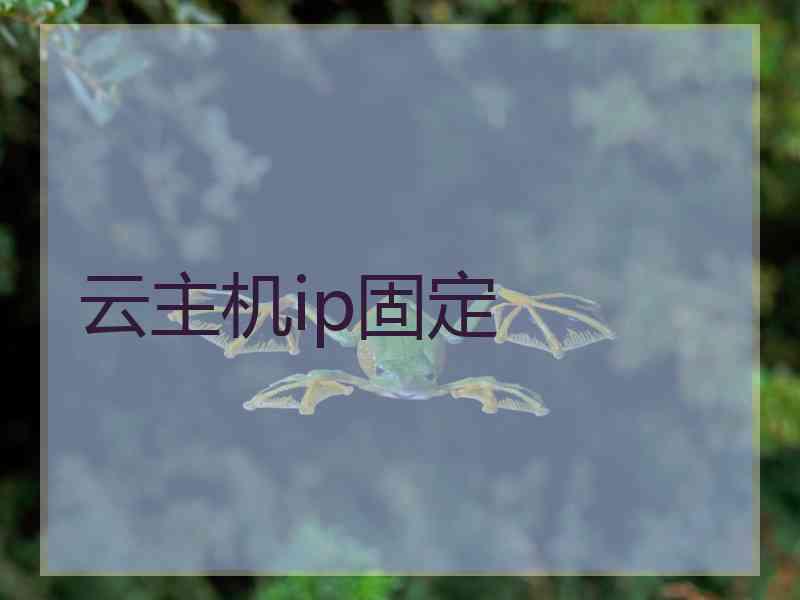 云主机ip固定