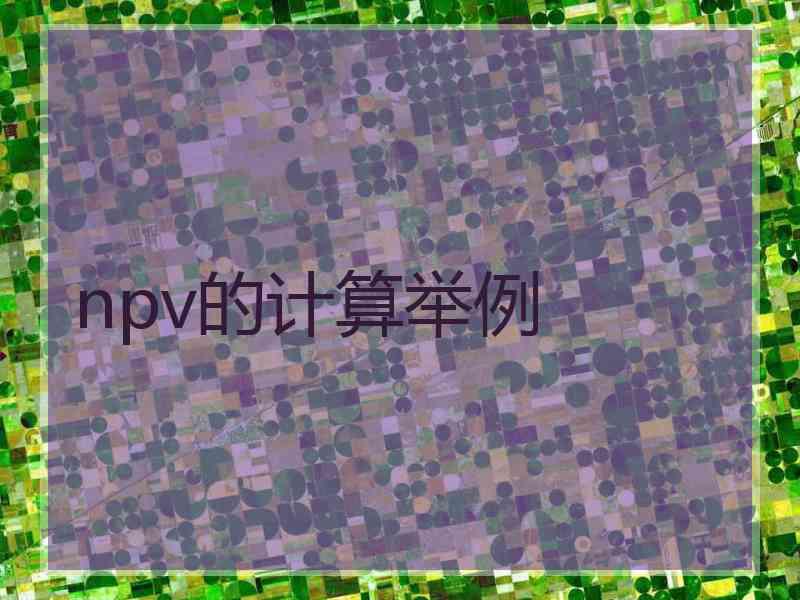 npv的计算举例