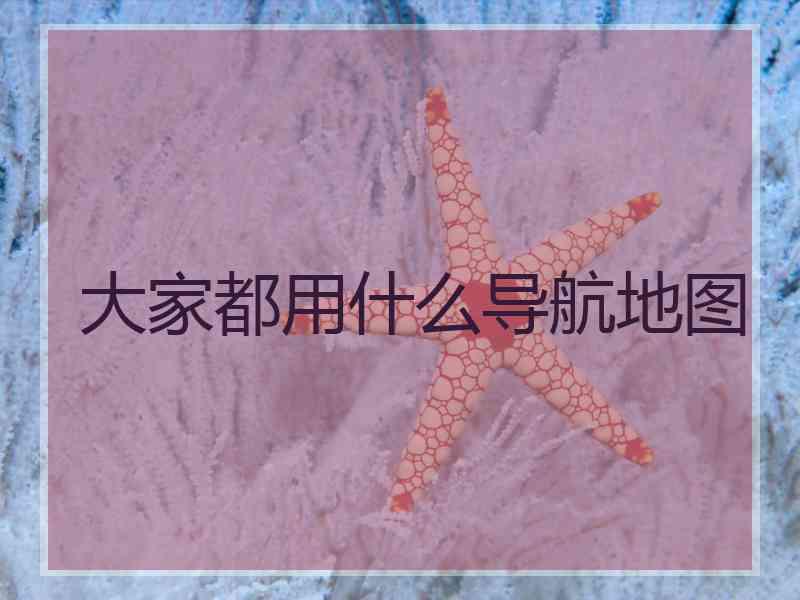 大家都用什么导航地图