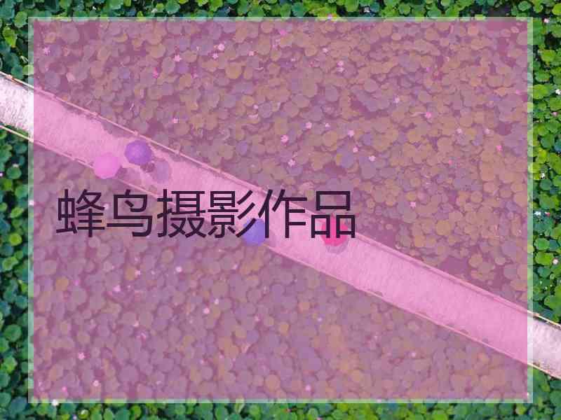 蜂鸟摄影作品